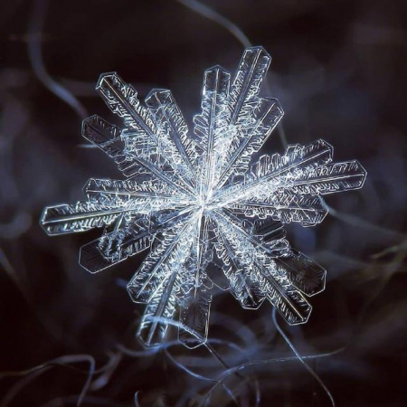 独一无二的雪花结晶| 法轮大法正见网